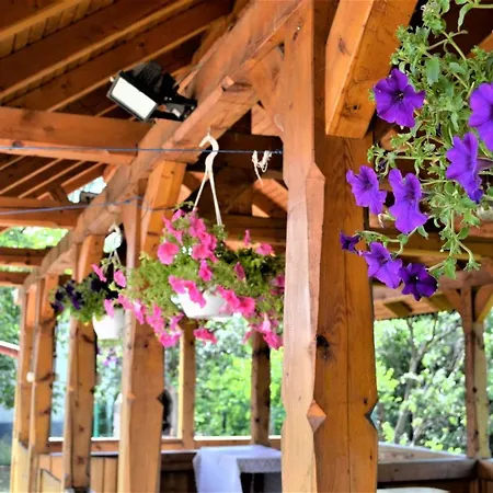 Villa Rozsi Mama Szováta